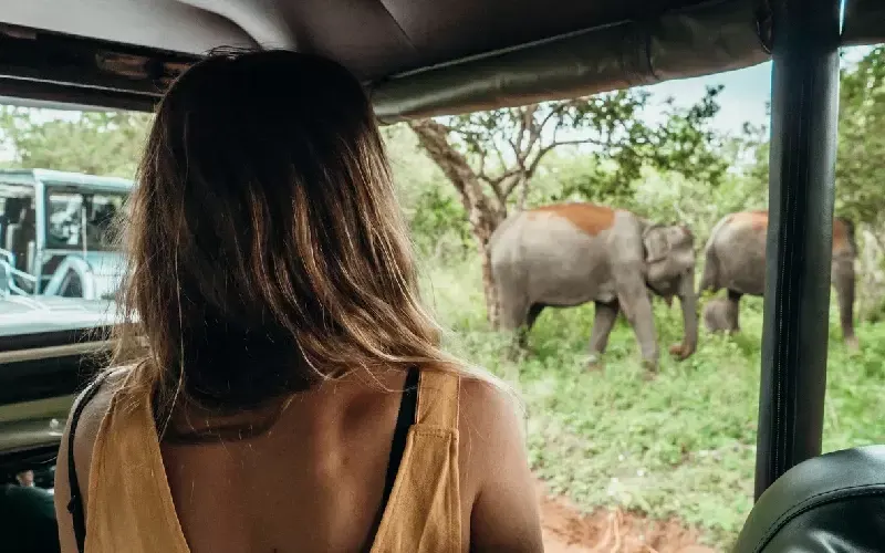 Viaggio nello Sri Lanka Completo 13 Giorni